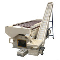 Coffee Cocoa Bean Sorting Machine